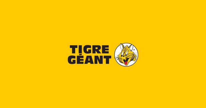 Sondage Tigre Géant